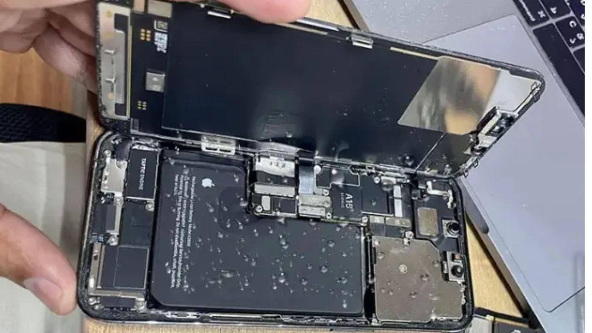 iPhone Water Repair